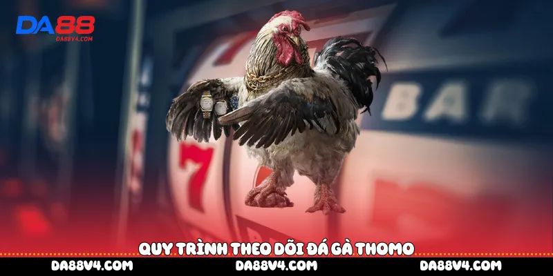 Quy trình theo dõi đá gà Thomo