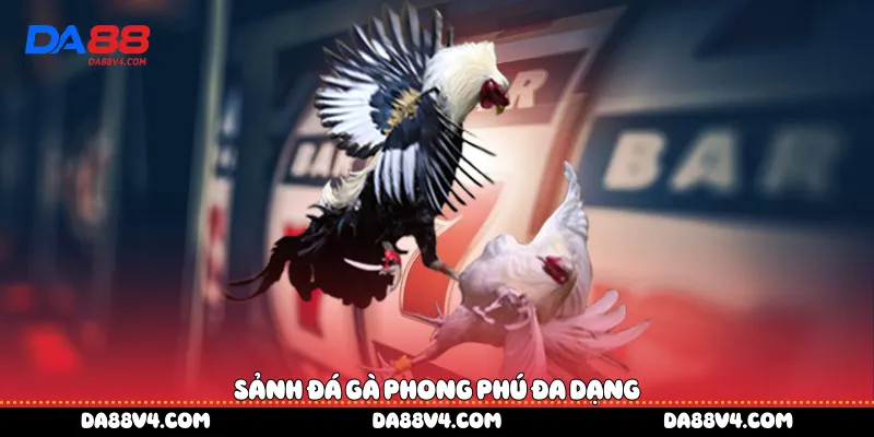 Sảnh đá gà phong phú đa dạng